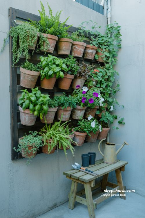 Simple vertical garden ideas for transforming small patio walls