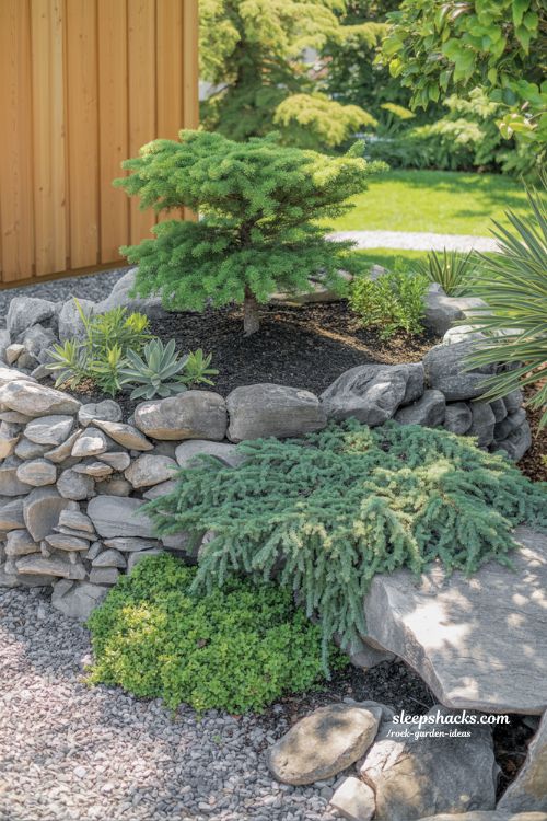 Small Rock Garden Ideas featuring Dwarf Trees and Shrubs for Natural Structure