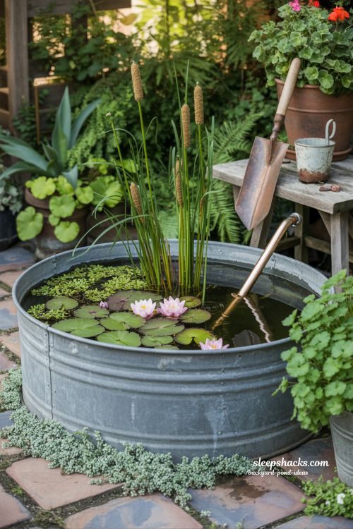 Small patio container pond idea with water plants and rustic garden details.