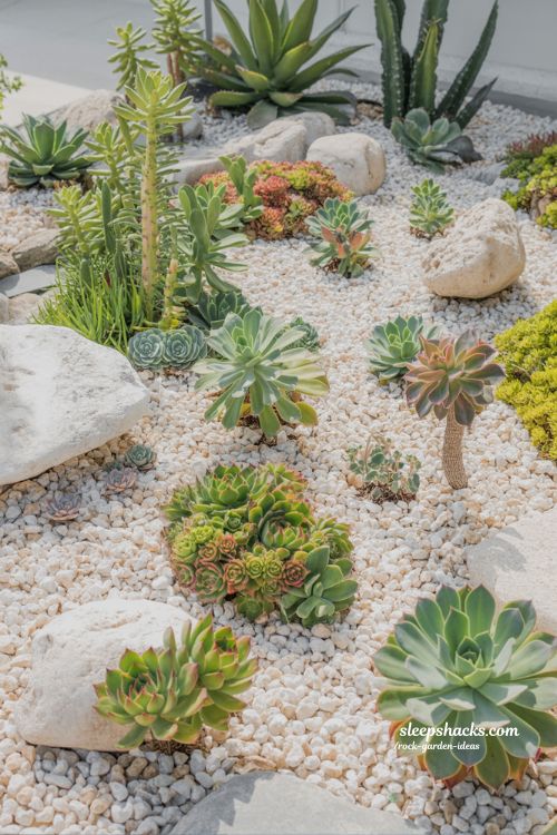 Stunning Small Rock Garden Ideas for a Modern Desert Succulent Look