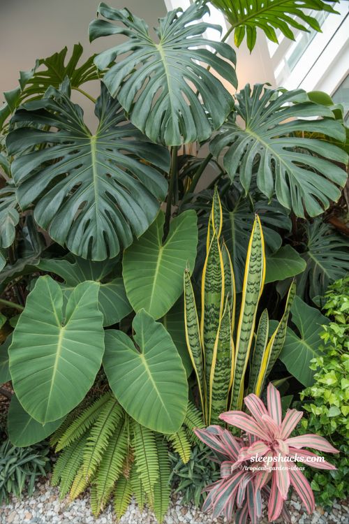 Textural Feast with Bold Tropical Foliage Layering