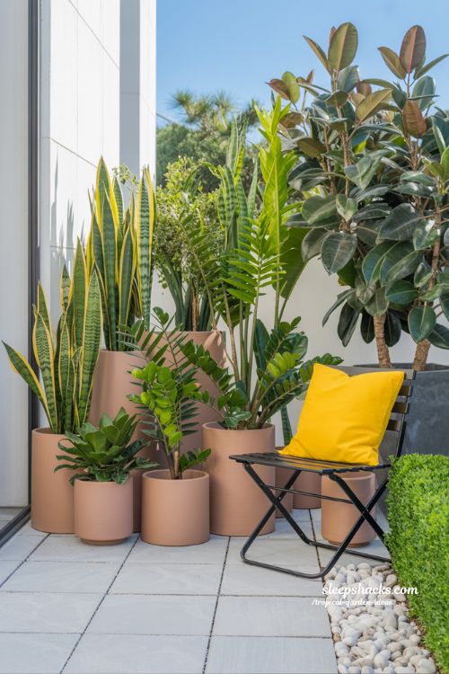 Tropical Border Garden with Layered Ferns and Decorative Bamboo Fencing