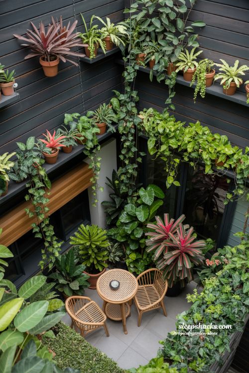 Tropical Path Design with Stepping Stones and Exotic Ground Covers