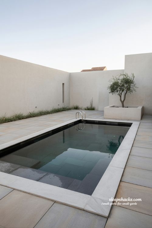 Uncluttered Elegance: The Ultimate Minimalist Modern Plunge Pool