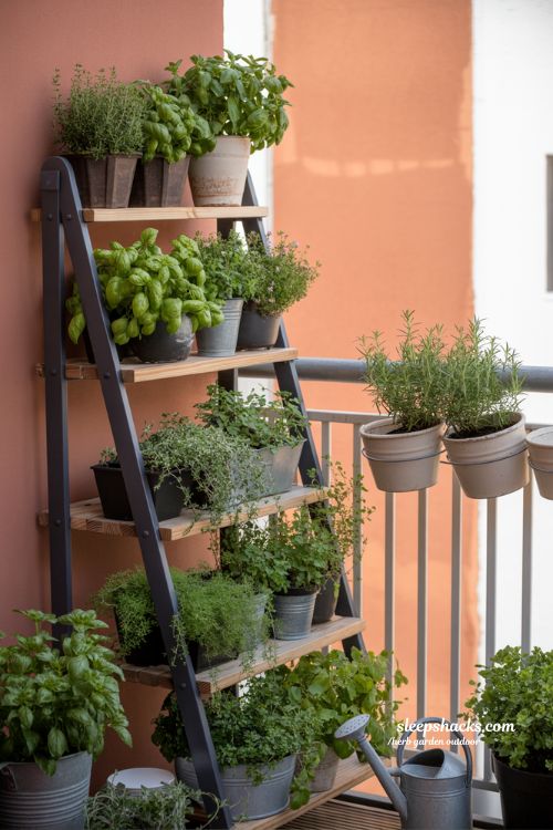 Vertical Balcony Herb Garden Ideas for Small Urban Spaces