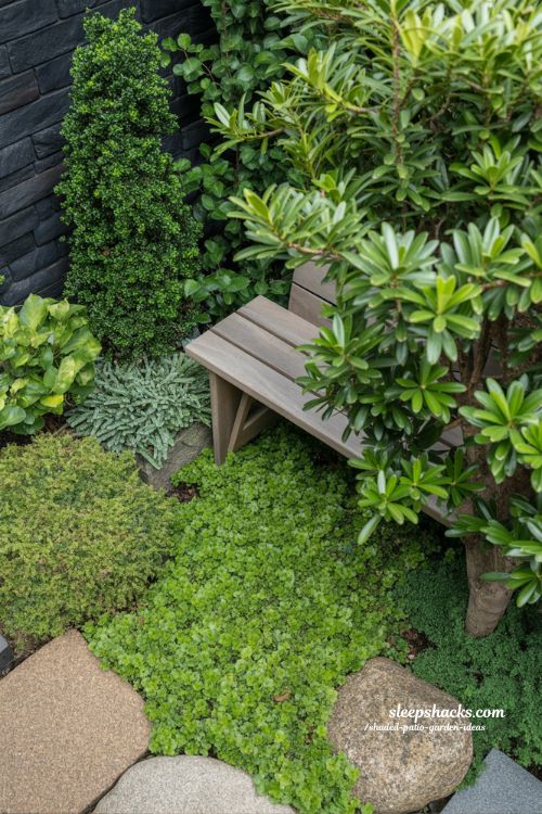 Year-Round Evergreen Structure for Shaded Patio Gardens