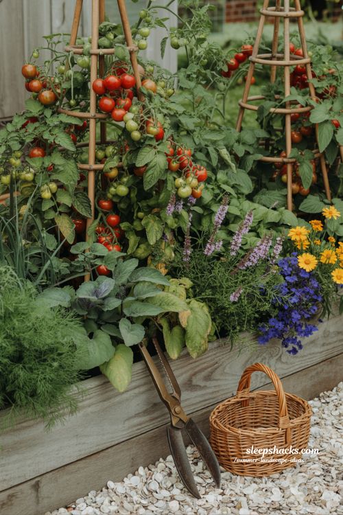 beautiful edible garden design with tomatoes herbs and flowers in raised beds