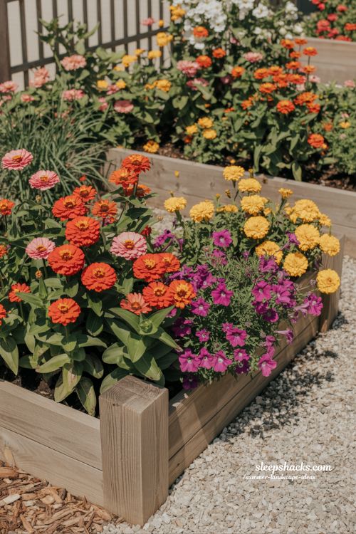 colorful planting ideas for hot summer gardens with zinnias marigolds and petunias