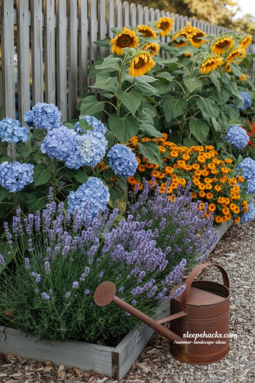 functional summer garden layout with lavender sunflowers marigolds and hydrangeas for color and structure