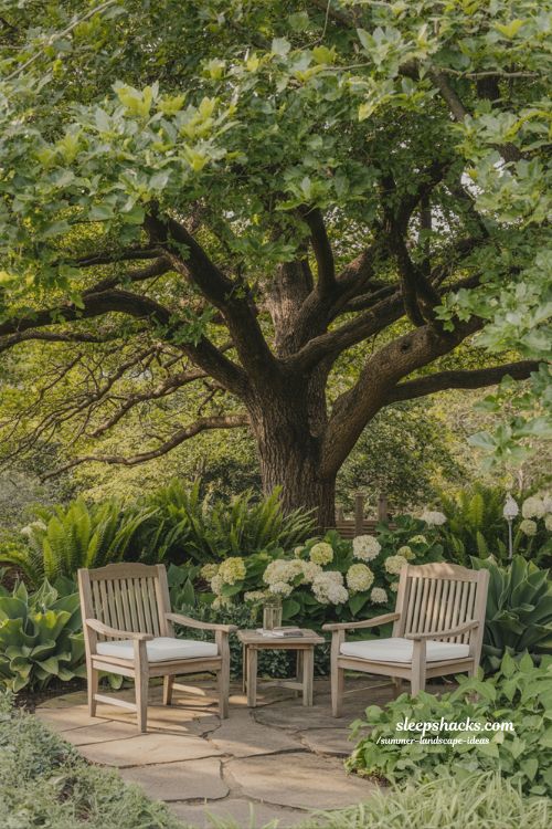 shady backyard sitting area under a large mature oak tree for natural cooling