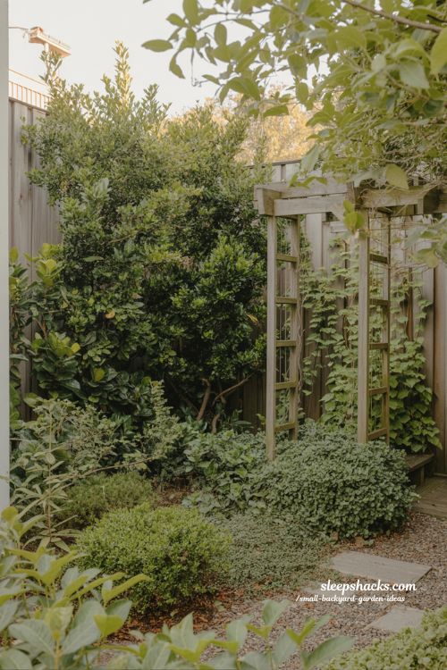 small backyard privacy ideas using plants vines and layered greenery instead of fences for natural screening