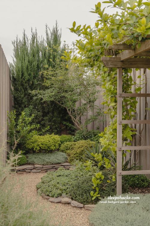 small garden plant mixing ideas for texture balance with layered height shrubs groundcover and climbers