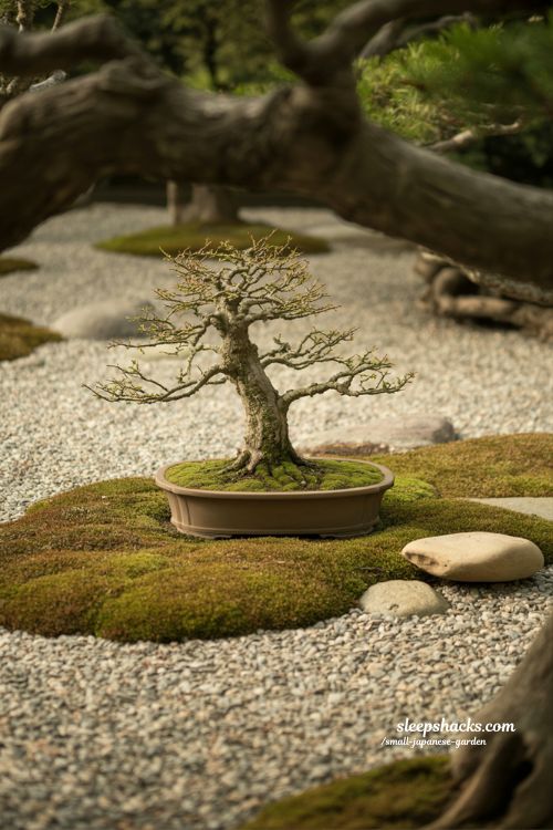 small japanese garden with bonsai tree styling ideas zen minimal space moss and gravel aesthetic composition