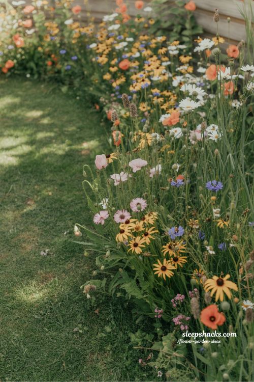 wildflower garden ideas for a relaxed and natural look