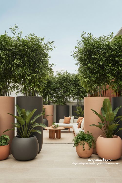 Backyard privacy ideas with large planters used as movable green privacy walls for flexible outdoor design