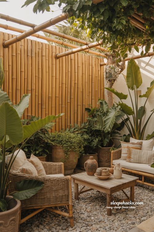 Bamboo fence ideas for tropical backyard privacy and cozy patio garden design