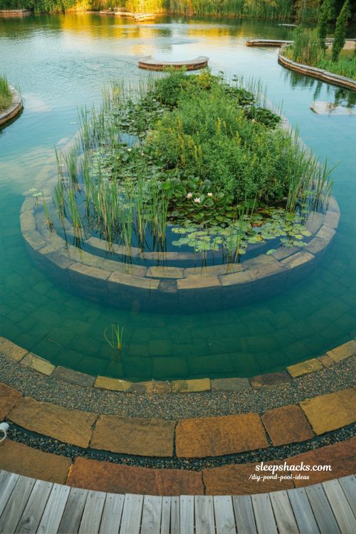 Classic natural swim pond with planted bog filter eco filtration backyard lake design