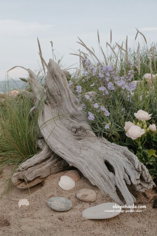 Coastal cottage garden ideas with driftwood accent and soft flowers natural texture
