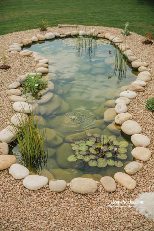 DIY pond pool starter build small natural backyard plunge pond with gravel edge and aquatic plants beginner eco water garden design