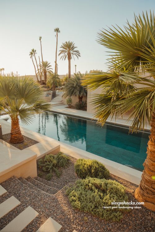 Desert oasis pool with palm trees and native ground cover landscaping ideas luxury backyard design