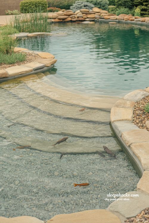 Family swim pond with shallow wading bay natural backyard pond design for kids safe eco water garden with stone separation zone
