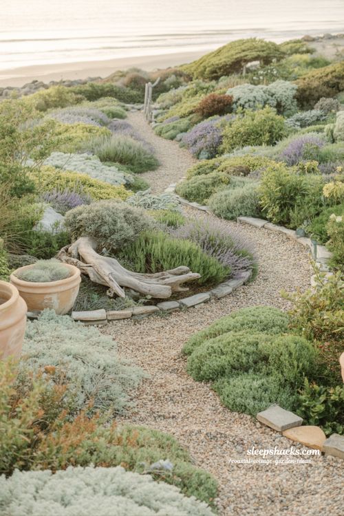 Full coastal cottage garden makeover ideas with unified planting gravel paths and driftwood accents