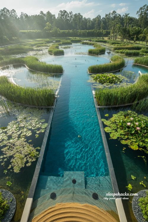 Large scale DIY swim pond 25x10 meter natural resort backyard pool ecosystem design with regeneration zone and eco engineering system