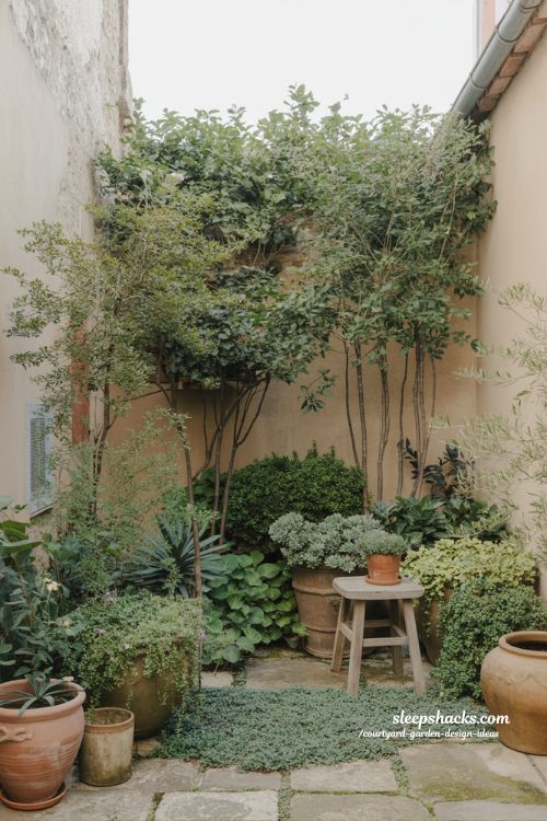 Layered courtyard garden planting with natural depth and lush greenery