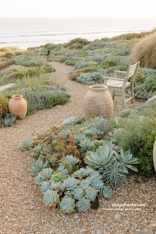 Low maintenance coastal cottage garden ideas with succulents grasses and relaxed gravel layout