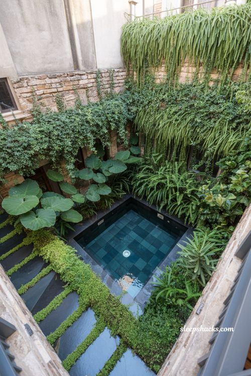 Lush city courtyard pool surrounded by dense forest style planting and dark bluestone natural stone garden design