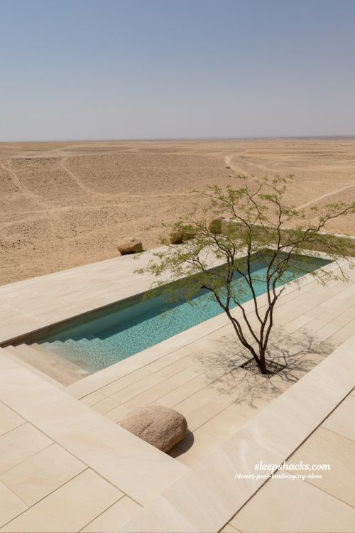 Minimalist desert pool with single specimen tree landscaping ideas clean modern backyard design limestone deck