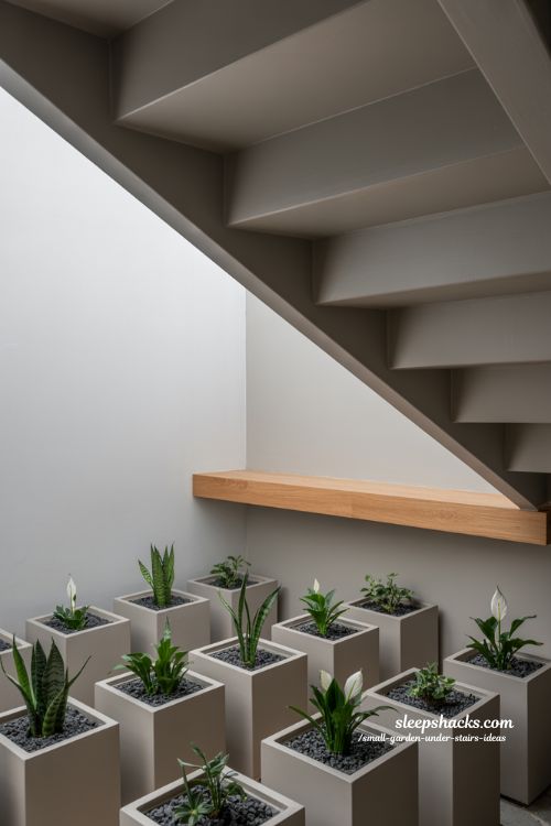 Modern clean line garden under stairs with minimalist planters and structured indoor greenery 