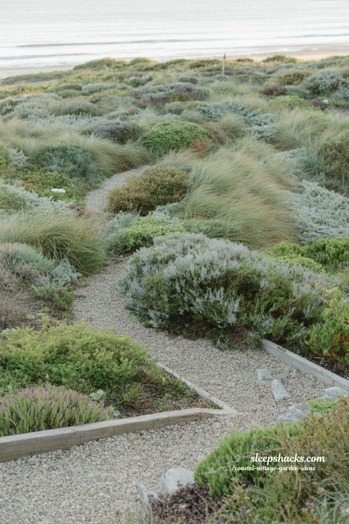 Natural drift coastal cottage garden ideas with loose planting clusters and organic flowing layout