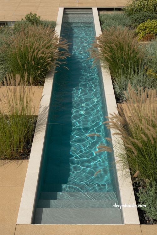 Rectangular lap pool surrounded by ornamental grasses in natural modern garden landscape design with soft flowing meadow style planting
