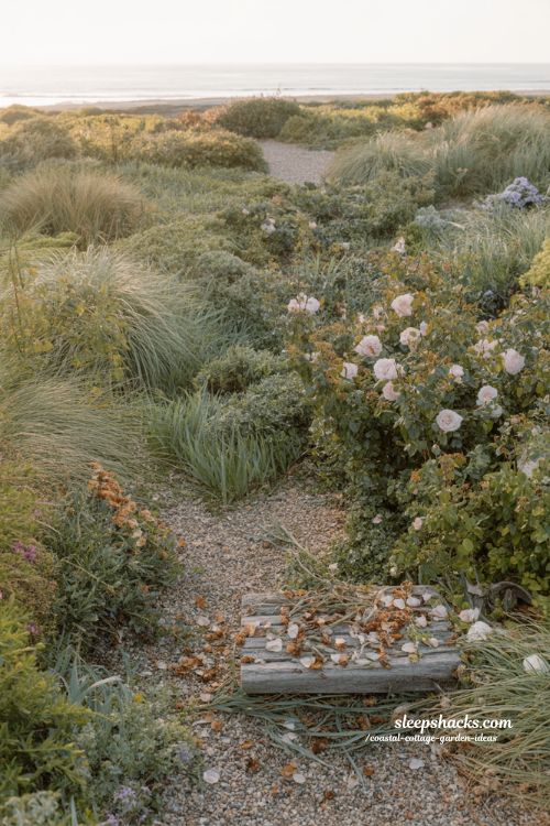 Seasonal coastal cottage garden ideas with soft blooms and golden grasses natural transition