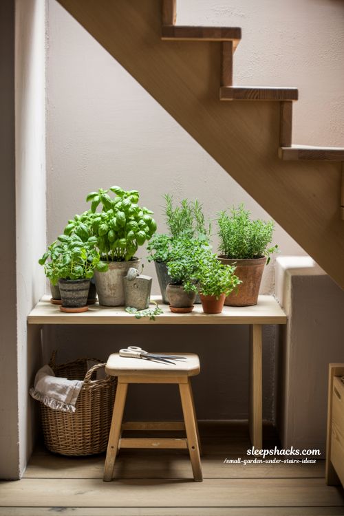 Simple indoor herb garden under stairs with basil mint and cozy kitchen decor 