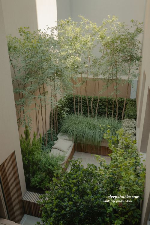 Small city garden ideas for creating privacy with tall grasses, climbing plants and layered greenery without walls