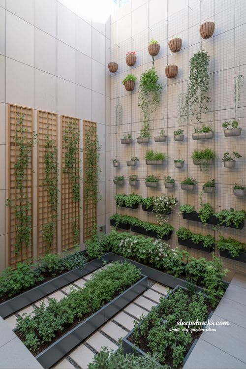 Small city garden ideas with vertical garden systems like trellis, wall planters and hanging baskets in a modern courtyard design
