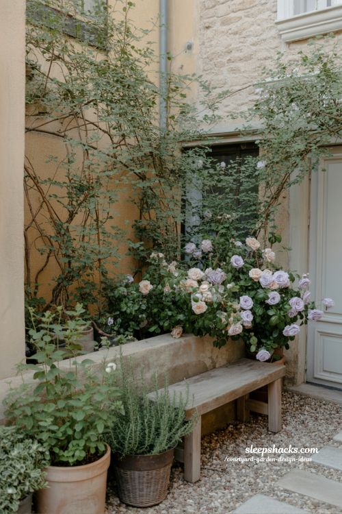 Small courtyard garden with fragrant plants like jasmine roses and herbs for sensory experience