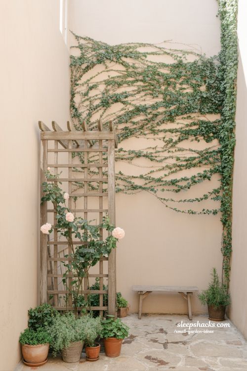 Small garden trellis ideas with climbing plants for added height and depth