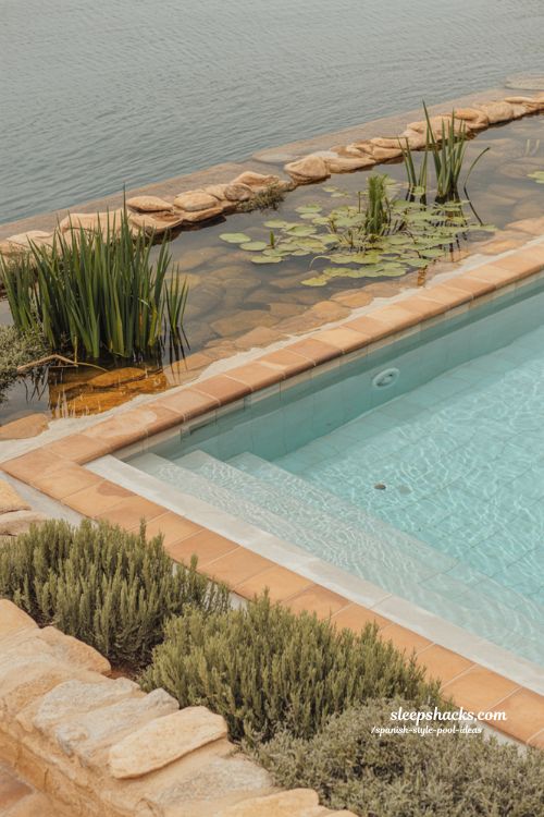 Spanish style pool ideas with natural swimming pool and terracotta border garden design
