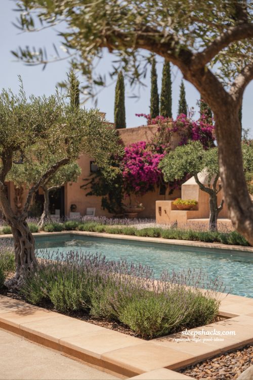 Spanish style pool ideas with olive trees and lavender landscaping mediterranean garden design