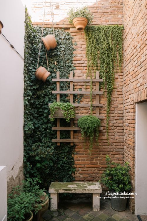 Vertical courtyard garden with climbing plants softening brick walls