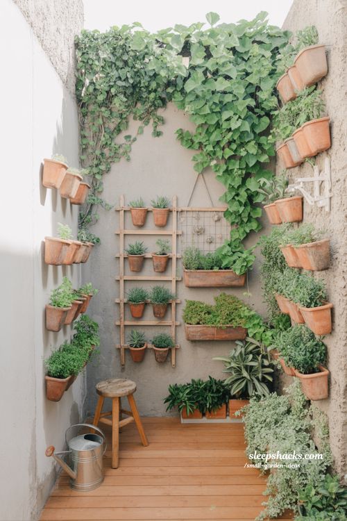 Vertical garden wall ideas for small spaces with herbs and climbing plants