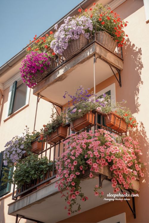 bright petunia overflowing hanging baskets creating colorful balcony garden waterfall effect