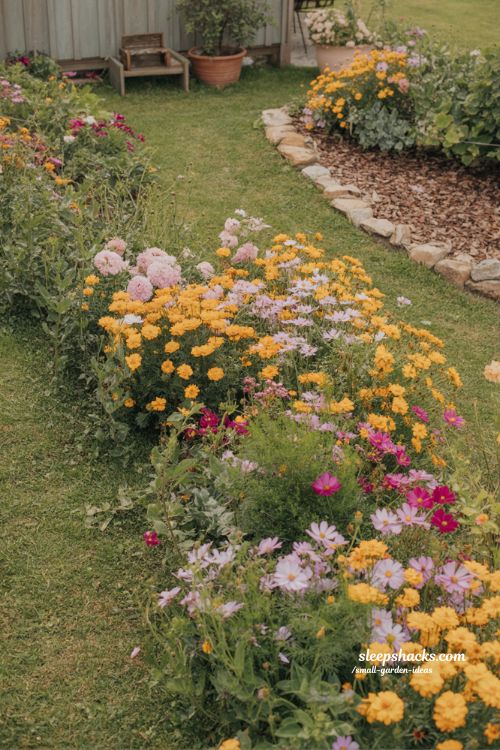 color burst garden beds with marigold petunia and cosmos summer landscape ideas