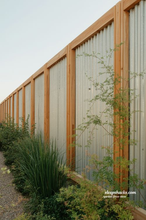 corrugated metal fence with timber frame modern industrial garden design with grasses and vines