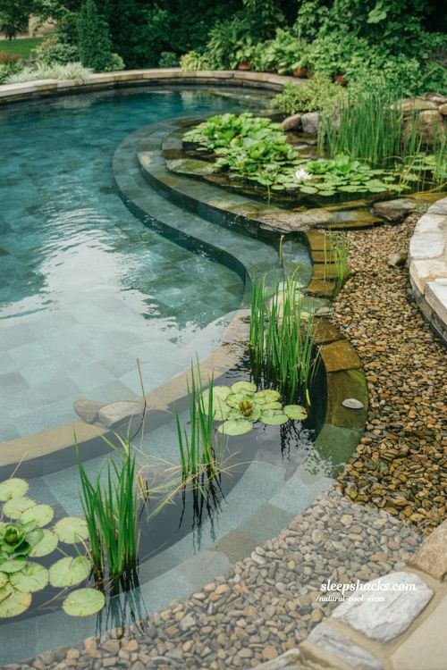 eco friendly natural pool ideas with plant based filtration and sustainable backyard ecosystem design