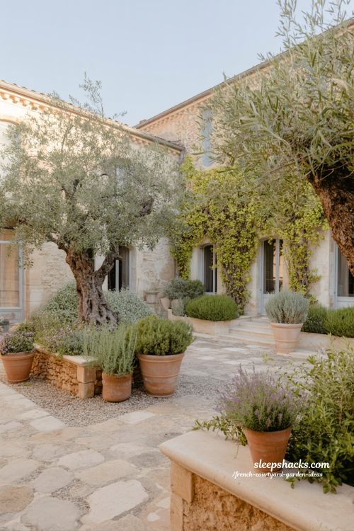 french courtyard garden with mediterranean influence olive trees and terracotta creating warm sun kissed atmosphere