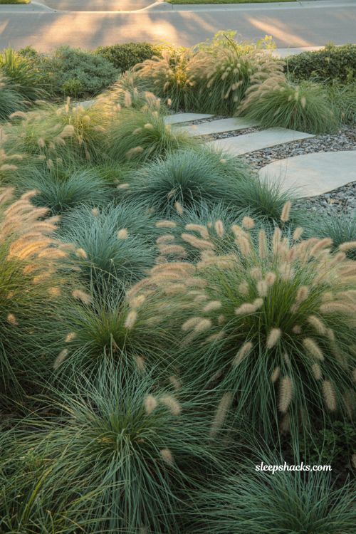 front yard landscaping ideas with ornamental grasses and no mow drought tolerant modern garden design